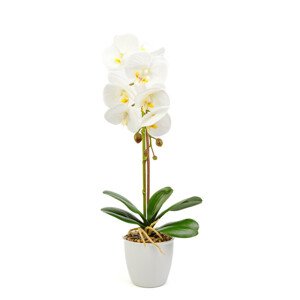 Umelá orchidea 48cm - biela